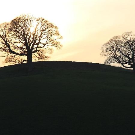 On The Brook Villa Bruton Bagian luar foto
