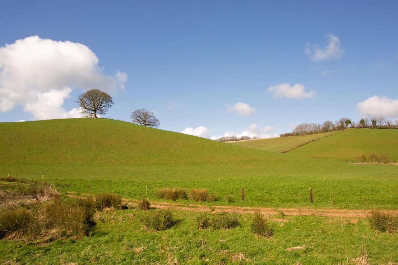 On The Brook Villa Bruton Bagian luar foto