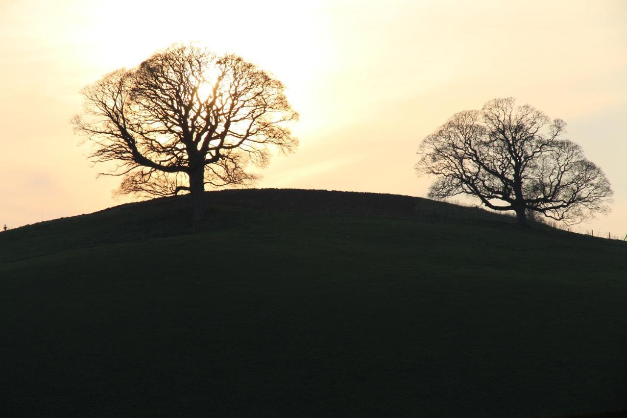 On The Brook Villa Bruton Bagian luar foto